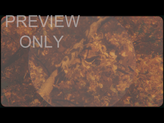 Vintage Fall Still 02