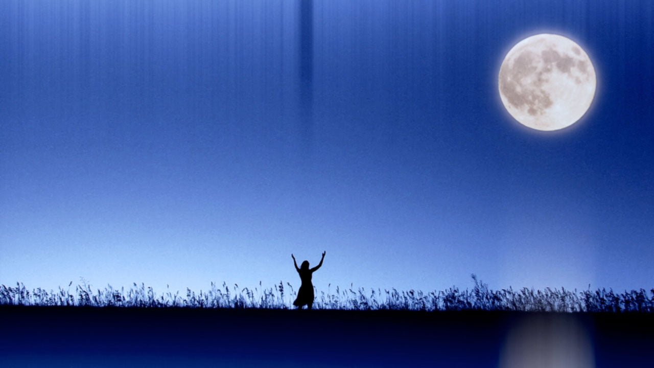 Worship In Moonlight