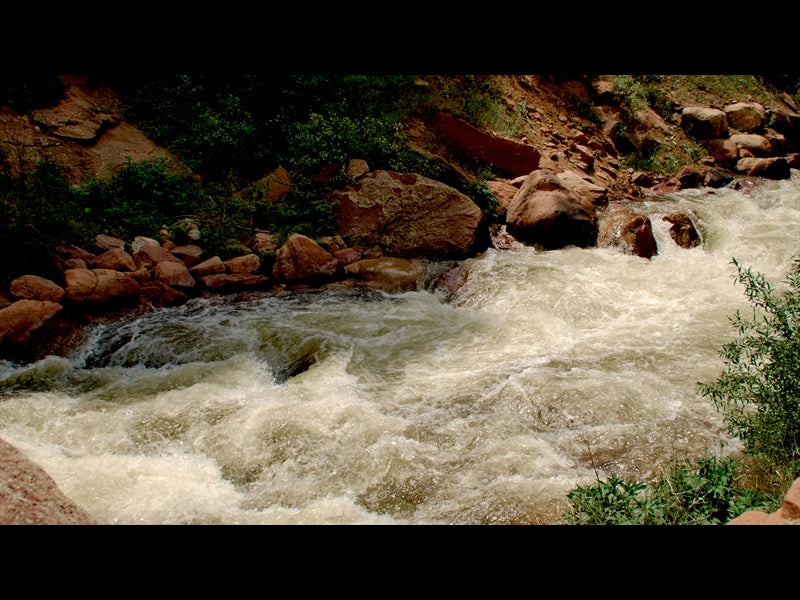 El Dorado Motion 10