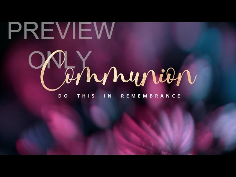 Christmas Ornamental Communion Still