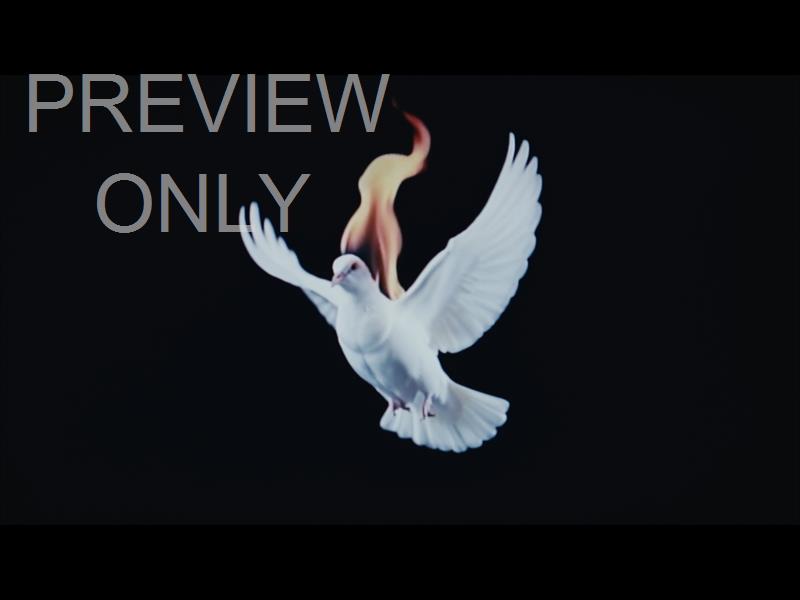 Easter Figures Holy Spirit Still