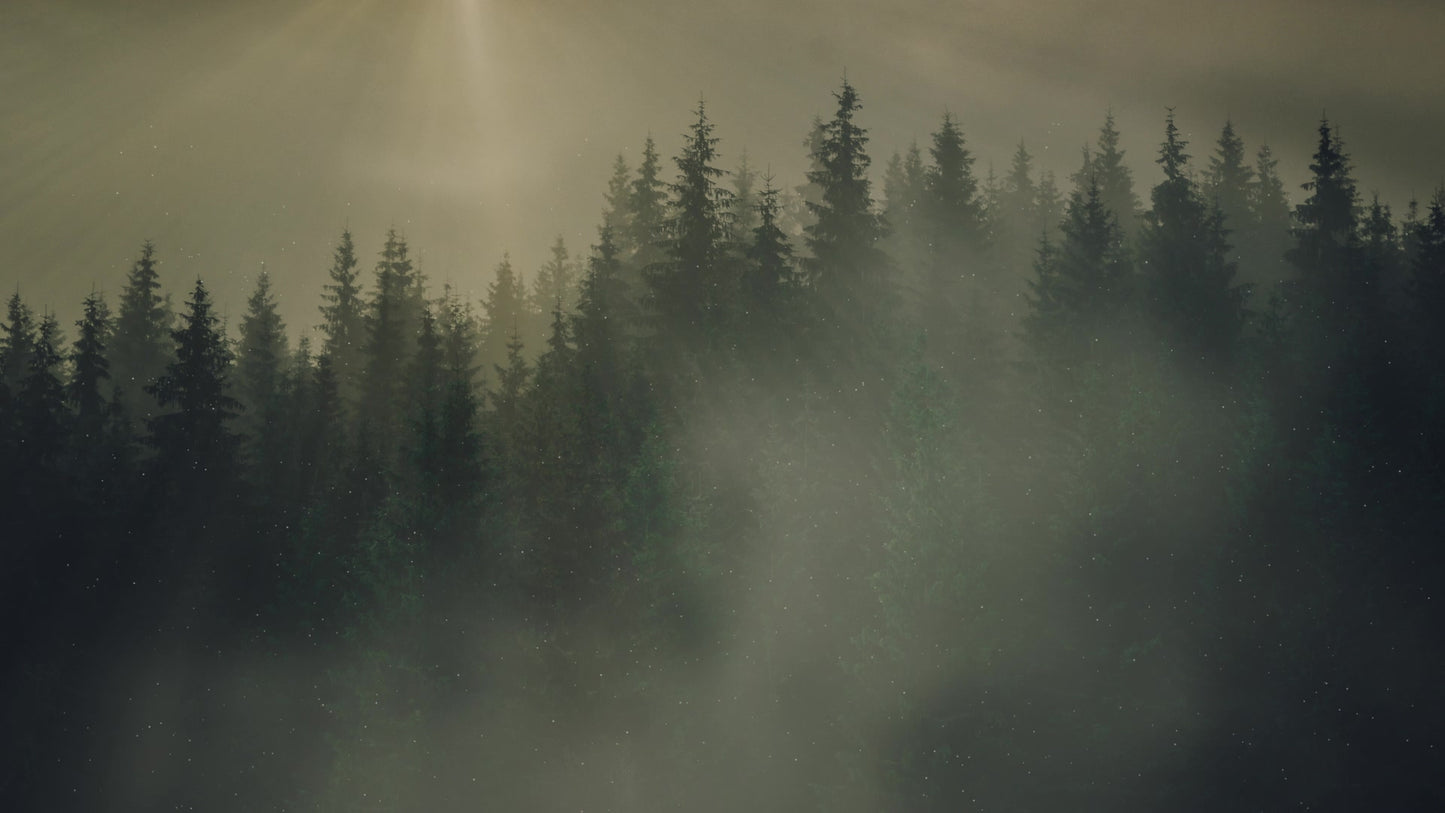 Lumberjack Dad Dusk Still