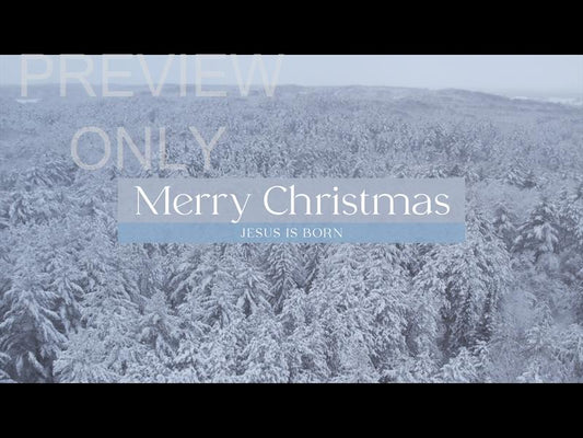 Winter Woods Merry Christmas Still