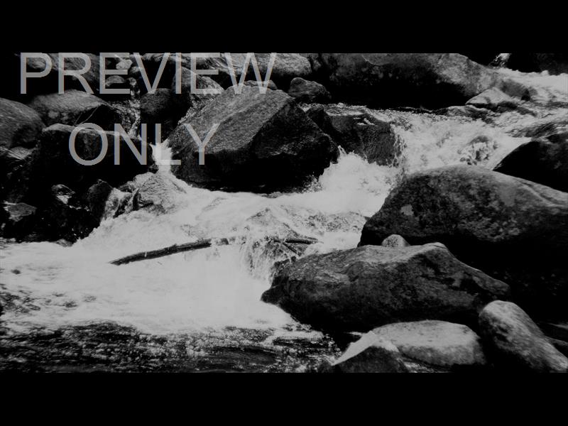Black And White River 3 Still