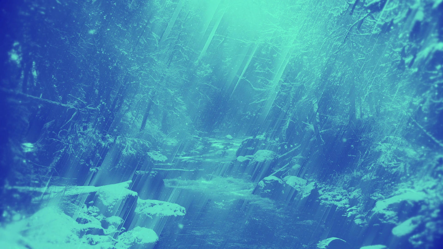 Holiday Visions 8 Alt Still