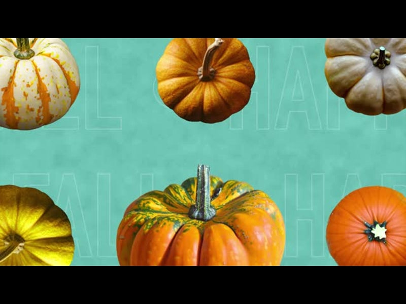 Multi Pumpkin 2