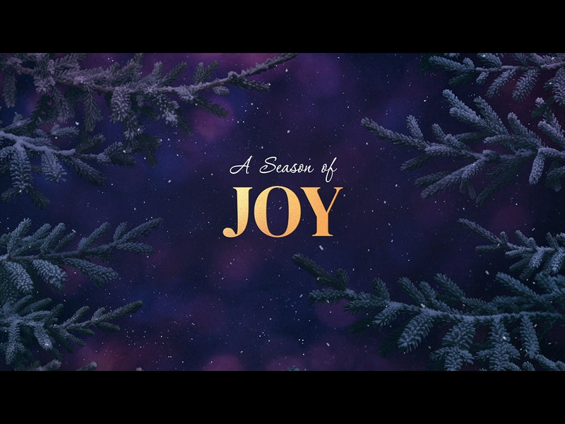 Christmas Wintertide Joy