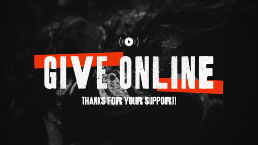 Dark Distortion Give Stream Still