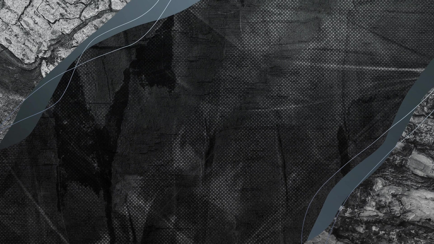 Vibrant Lent: Six Still