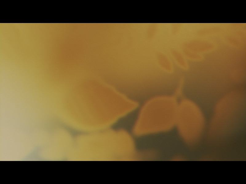 Velvet Fall Loop 06