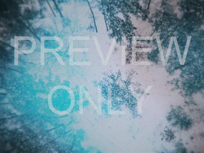 Aerial Snow 3