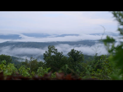 Adam & Eve: Creation Of The World