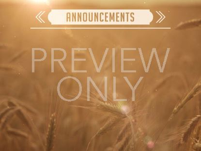 Summer Wheat