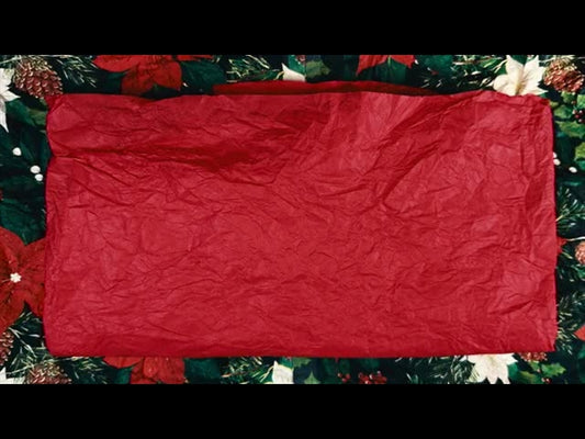 Christmas Stop Motion 3