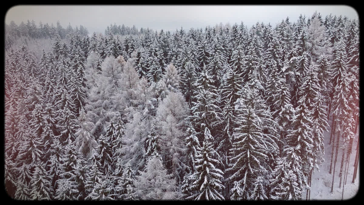 Retro Winter 07