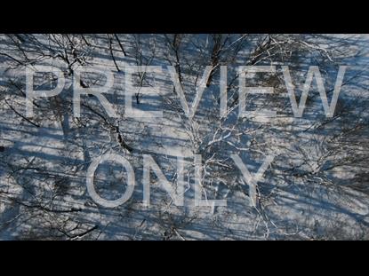 Aerial Snow Top Down