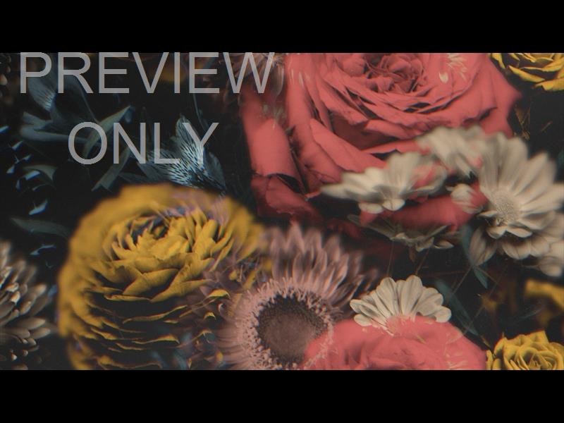 Deep Beauty Still 01