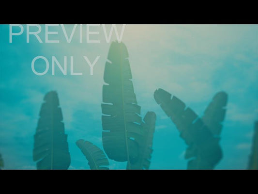 The Road To Easter: Palm Leaf Still