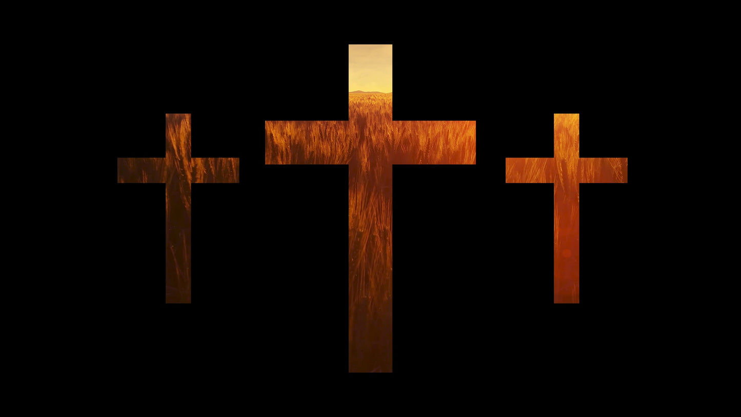 Golden Hour Crosses Still