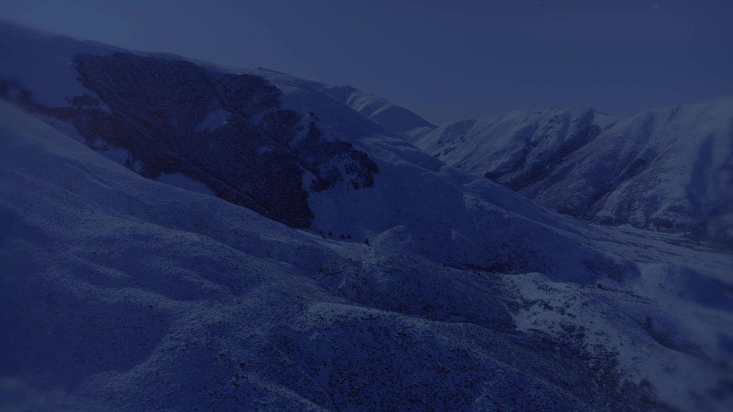 Deep Winter 6 Tint Still