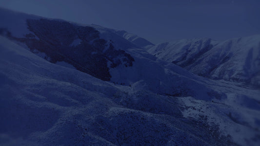 Deep Winter 6 Tint Still