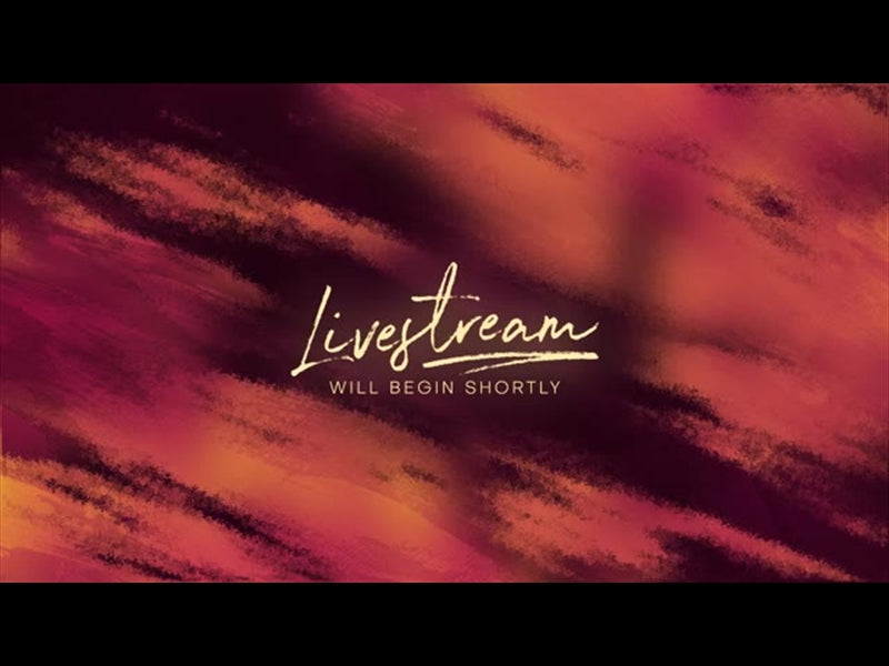 Paint Canvas Livestream