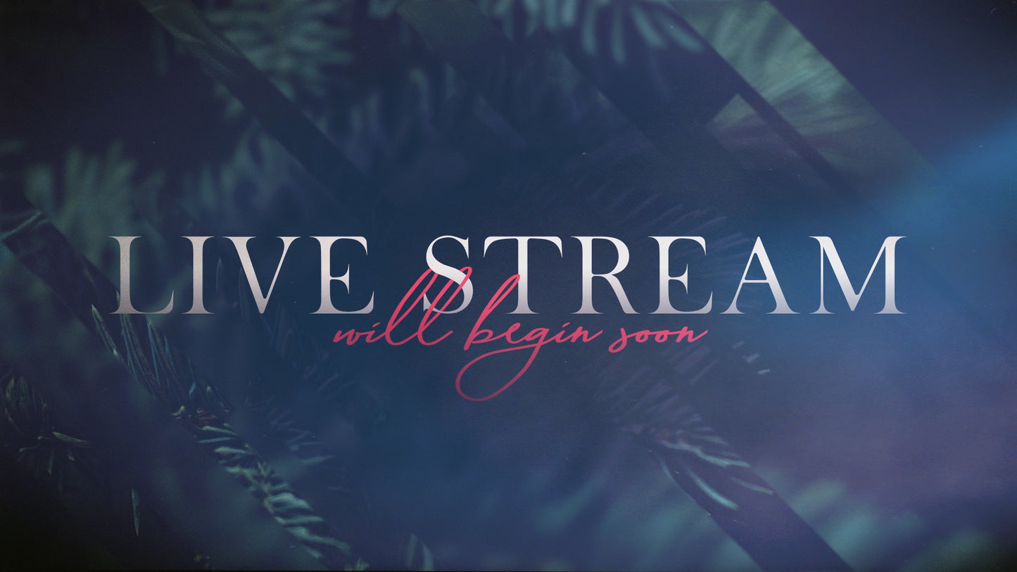 Christmas Journey Live Stream Still