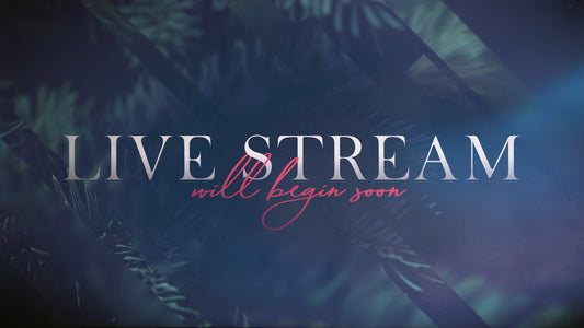 Christmas Journey Live Stream Still