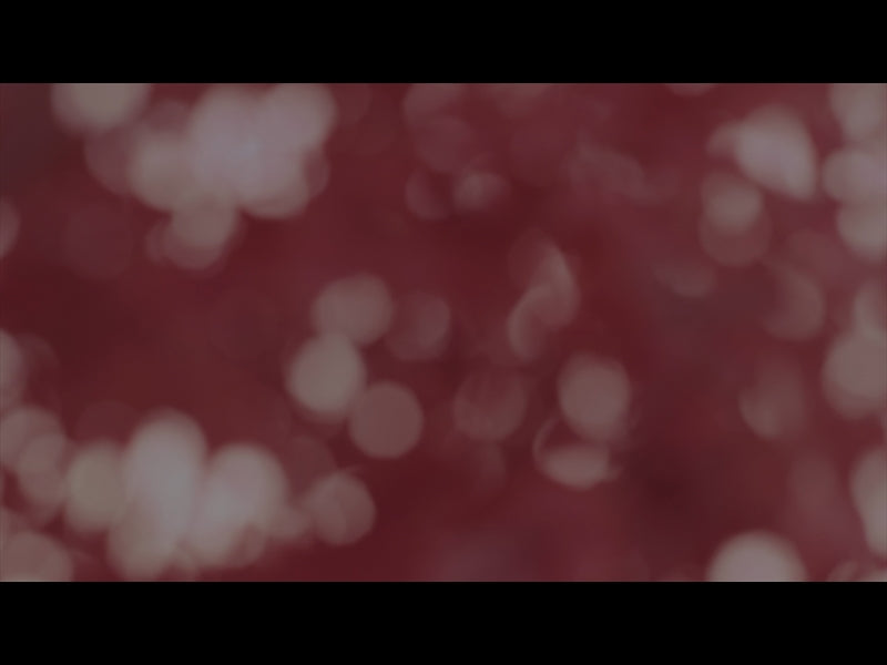 Beautyfall Loop 08