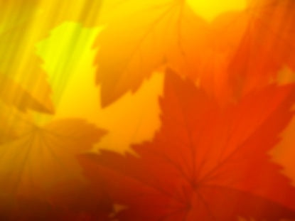 Fall Leaves And Lines