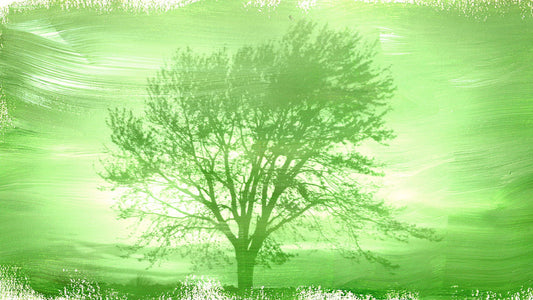 Texture Tree