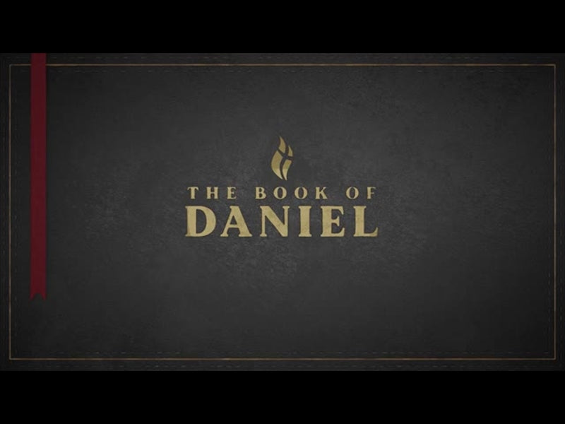 Daniel - Black