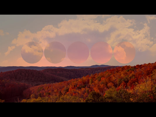 Wilderness Fall 10 Remix