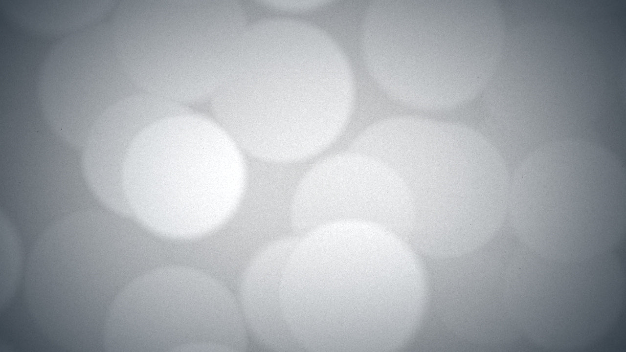 Grayscale Bokeh 04 Still