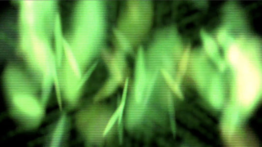 Green Coins