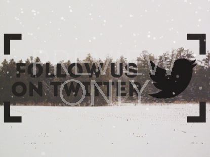 Winter Forest Frame Twitter