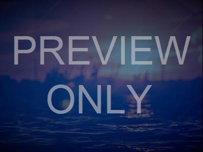 Brand New Day Still 11