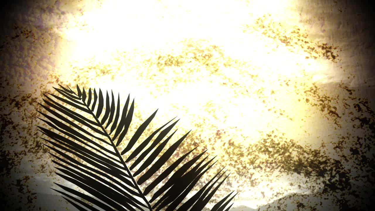 Rough Palm