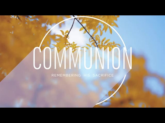 Fall Shadow Communion