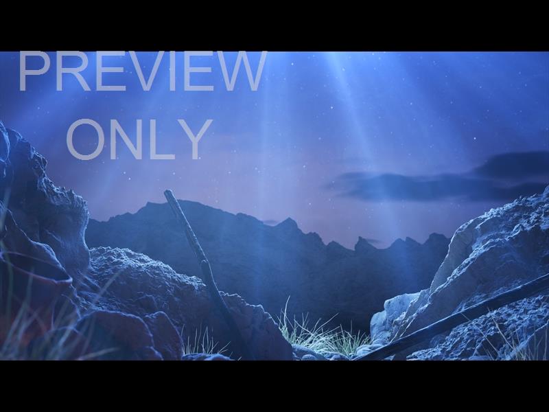Songs Of The Savior: Shepherd Still