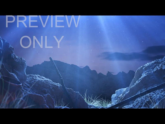 Songs Of The Savior: Shepherd Still