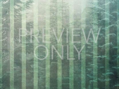 Calming Nature Green 5 Still