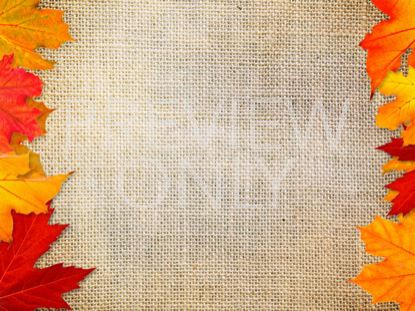 Autumn Leaves Still 1