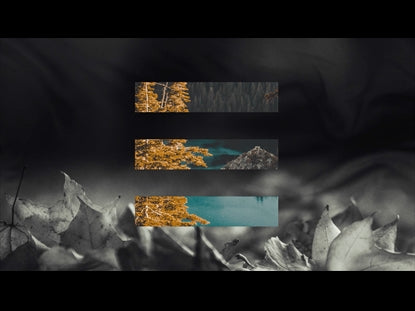 The Shape Of Fall 4