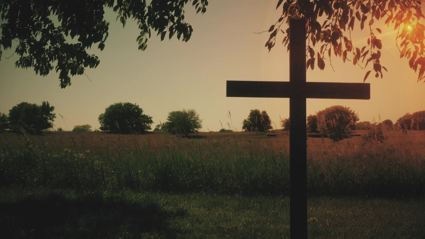Cross 3 Still