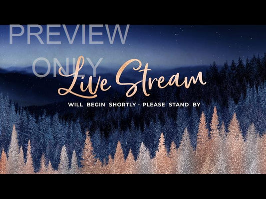 Sparkling Trees Live Stream Still