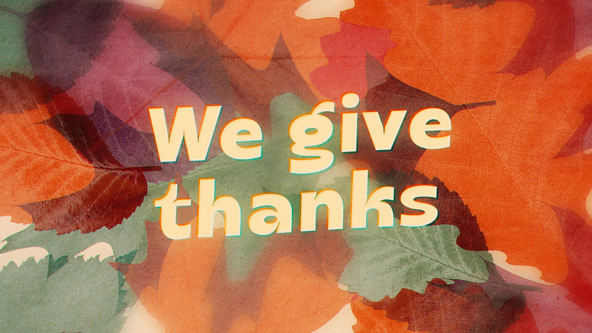 Layers Of Leaves Still We Give Thanks
