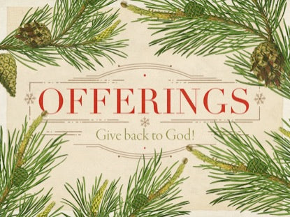 Christmas Botanical Offerings