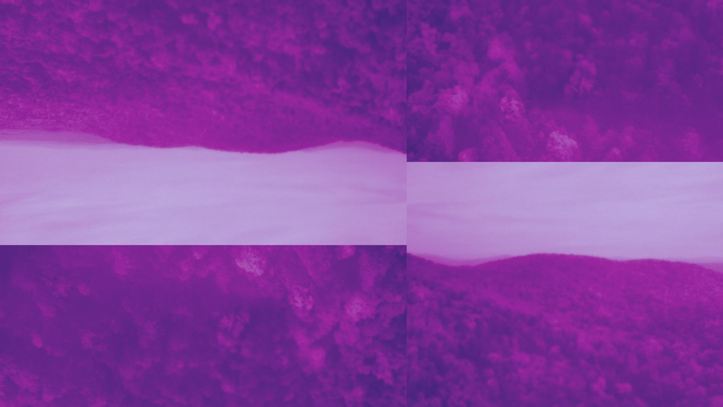 Thanksgiving Flight Autumn Alt Still