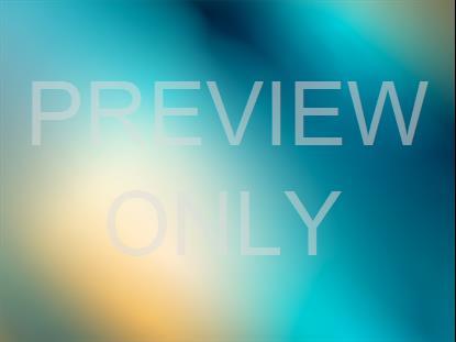 Neon Summer 21 Still